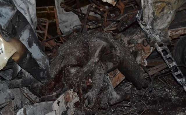 Acidentes com animais em rodovias j&aacute; mataram nove pessoas este ano 