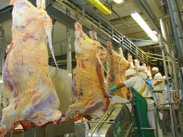 Aplicativo mostra erros e acertos para garantir qualidade m&aacute;xima da carne