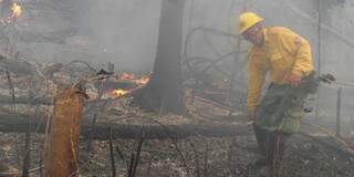  Ibama implanta brigadas de combate à incêndio nas nascentes do Taquari