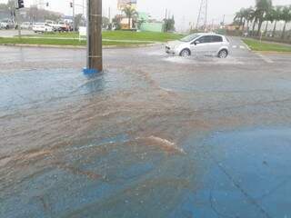 Início da Avenida Marques de Pombal, alagada em poucos minutos de chuva. (Foto: Clayton Neves)