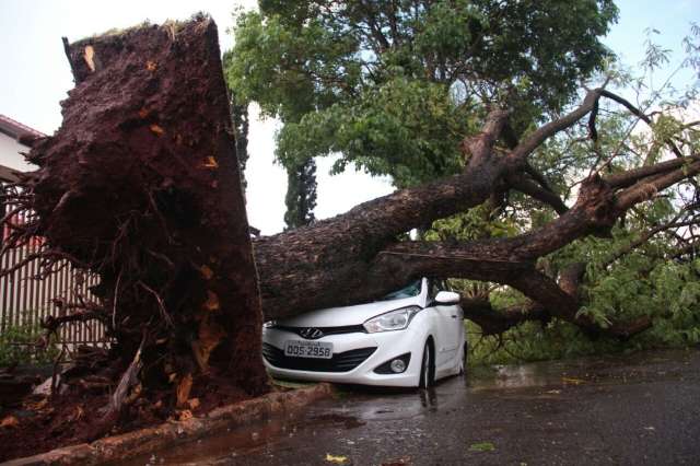 Mesmo r&aacute;pida, temporal causa destrui&ccedil;&atilde;o em v&aacute;rios pontos da Capital