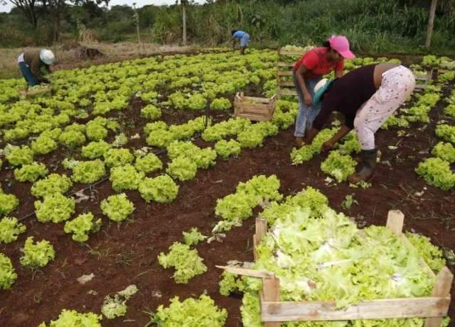 Parceria entre prefeitura e Uni&atilde;o beneficia produtores com R$ 1,9 mi