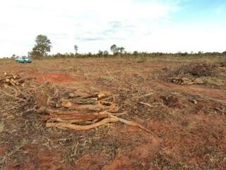 Fazenda teve 135 hectares desmatados. (Foto: Divulgação)