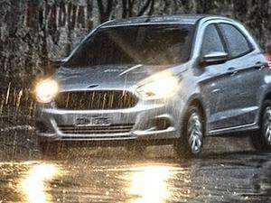 Temporal e chuva de granizo causam queda de &aacute;rvores e destalhamentos