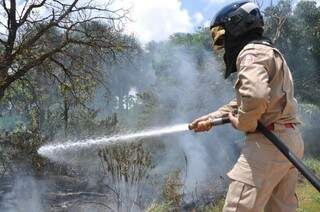 Bombeiro utiliza mangueira para controlar as chamas em reserva ambiental. (Foto: Marcelo Calazans)