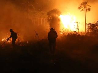 Vultos dos trabalhadores em meio ao fogo em uma fazenda de Corumbá (Foto: Paulo Francis)
