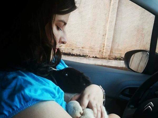 Com prolifera&ccedil;&atilde;o de pet shops pela cidade, vinga quem vive de promo&ccedil;&atilde;o