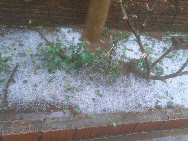 Temporal que deixou estragos na Capital teve mais vento que &aacute;gua