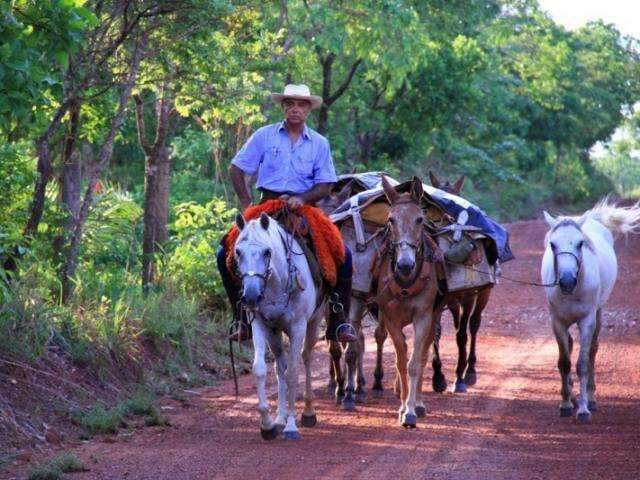 Um ano ap&oacute;s dar o galope inicial, cavaleiro encerra cavalgada pelo Pantanal