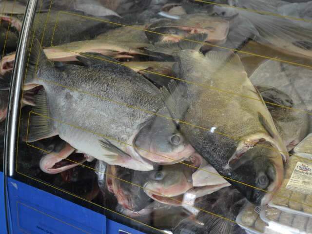  Semana do Peixe come&ccedil;a na segunda e termina no dia 16 de setembro