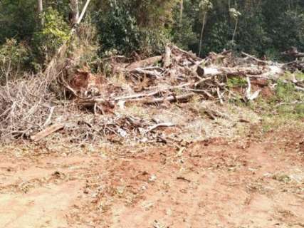 Três pessoas são autuadas em R$ 104 mil por desmatamento ilegal