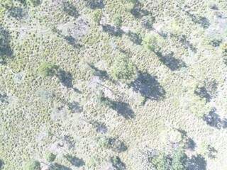 Área desmatada vista por imagens de drone (Foto: Divulgação PMA)
