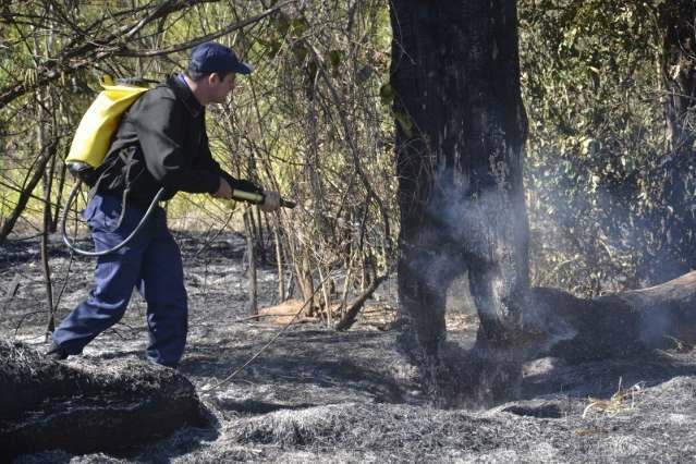 Prefeitura v&ecirc; inc&ecirc;ndio criminoso em parque e reclama da Pol&iacute;cia Civil