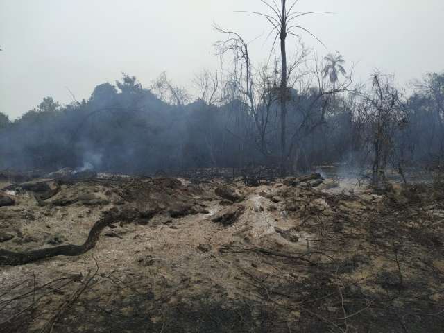 Inc&ecirc;ndio destr&oacute;i 840 hectares e usina &eacute; multada em R$ 953 mil pela PMA