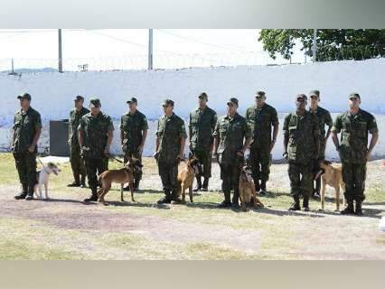 Marinha abre canil e cães ajudarão no combate ao tráfico de drogas