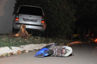 Árvore foi arrancada da calçada com a colisão (Foto: Rodrigo Pazinato)