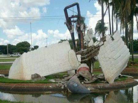 Pela 2&ordf; vez desde 2010, tuiui&uacute;s em frente ao Aeroporto caem