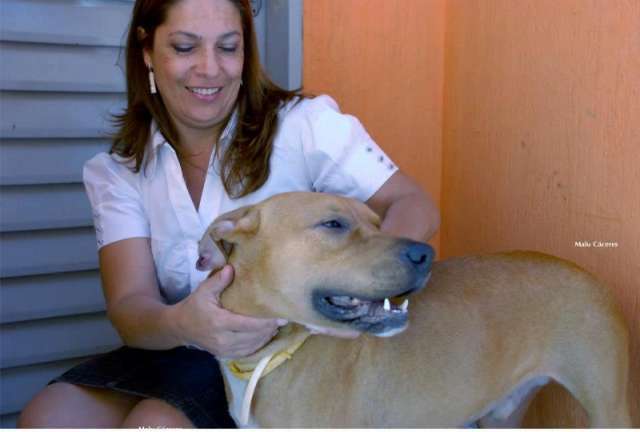Cassada, presidente de conselho denuncia persegui&ccedil;&atilde;o e vai adotar Scooby 