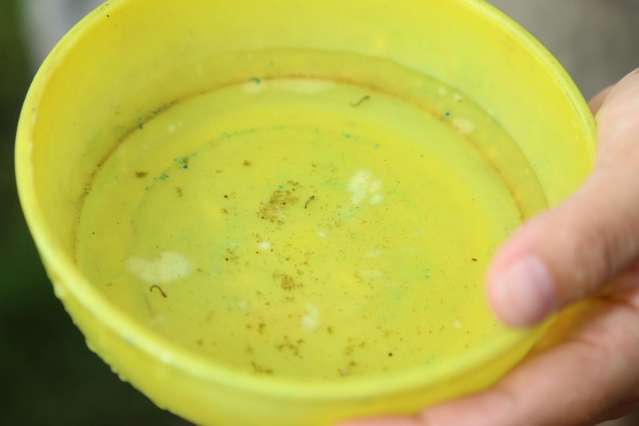 Com tr&eacute;gua na chuva, mutir&atilde;o contra mosquito em bairros &eacute; retomado
