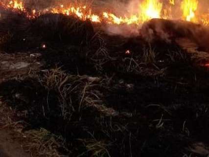 Instituto alerta para tempo seco que aumenta risco de queimadas 