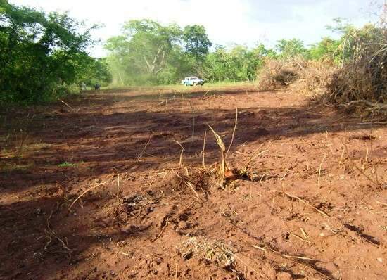 Fazendeiro desmata 10 ha  e &eacute; multado em R$ 3 mil