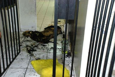  Policial sofre queimaduras de 2&ordm; grau durante tentativa de fuga em delegacia