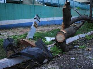 Parquímetro e árvore foram derrubados pelo veículos. (Foto: Marina Pacheco) 