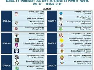Campeonato estadual sub-11. (Foto: Divulgação)