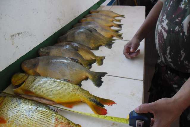 Turistas de S&atilde;o Paulo s&atilde;o multados em R$ 11 mil por pesca predat&oacute;ria no Estado