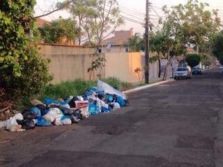 o amontoado de resíduos tem ocasionado no aparecimento de moscas e até ratos pela vizinhança. (Foto: Direto das Ruas)