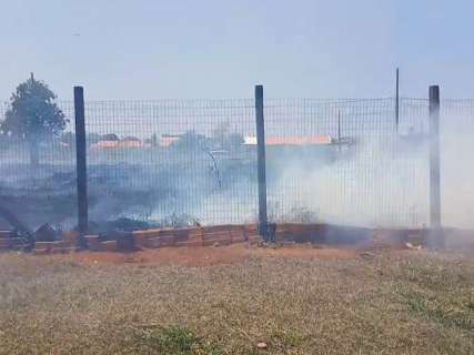 Incêndio em terreno "esquecido" incomoda morador na Nova Campo Grande