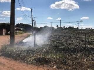 Fogo consumiu matagal em terreno baldio no bairro Girassóis (Foto: Ronie Cruz)