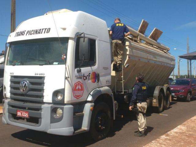 Carga de maconha transportada com ra&ccedil;&atilde;o animal pesou 3,4 toneladas