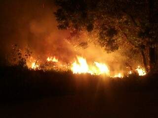 Incêndio em reserva ambiental de Aquidauana. 
