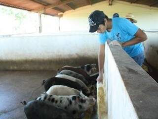 Aluno da Escola Agrícola alimentando suínos. (Foto: Marcos Ermínio)