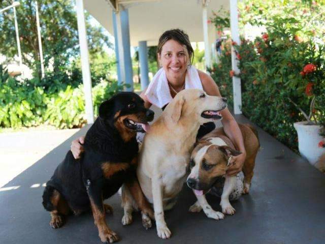 Uma hora ap&oacute;s mat&eacute;ria, dona reencontra &#039;trio de cachorr&otilde;es&#039;