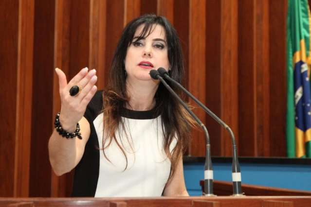Deputada diz que CPI deve convocar produtores e integrantes do Cimi