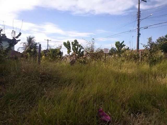 Mato alto em terreno baldio tira o sossego de moradores do Tijuca