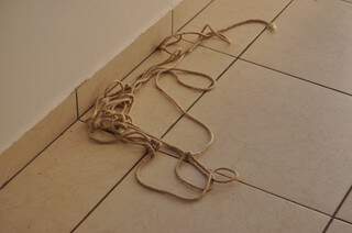 Os bandidos amarraram a família com uma corda e trancou no banheiro (Foto: Marcelo Calazans)