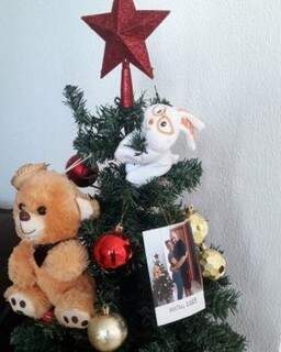 A pequena árvore está enfeitada com uma foto e os presentes que o casal trocou durante o namoro.(Foto: Arquivo Pessoal)