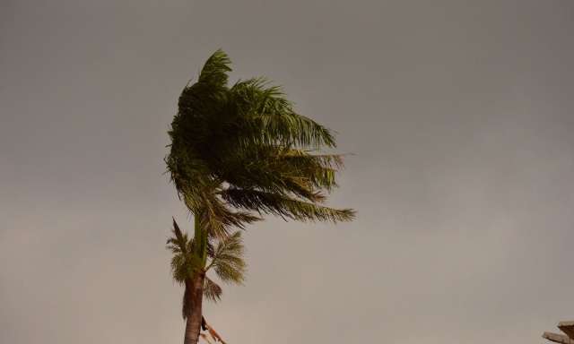 No Sul de MS, ventos durante temporal da madrugada atingiram 91 km/h