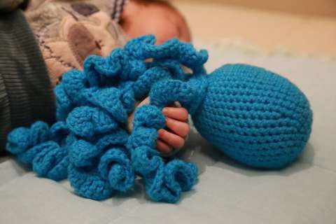 Depois do neto prematuro, avó faz polvos de crochê para recém nascidos da UTI