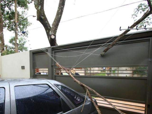 Galho cai sobre rede de energia e bairro fica sem eletricidade