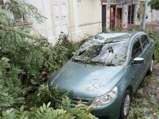 Carro foi danificado com queda da árvore (Foto: Divulgação/Bombeiros)