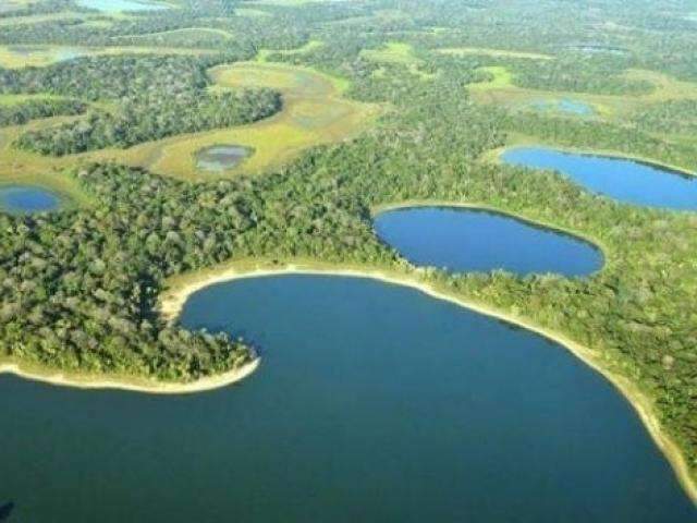 Usineiros descartam cana no Pantanal, mas admitem plantar no Alto Paraguai