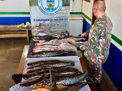 Pescador com 84 kg de peixes capturados ilegalmente é multado em R$ 2,4 mil 