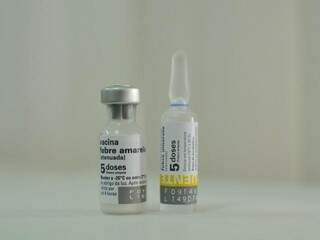 Vacinação contra a febre amarela, que está disponível em postos de saúde (Foto: Alcides Neto)