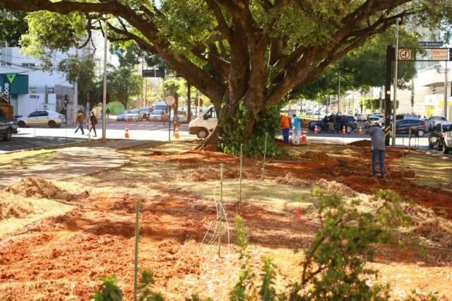 Parceria foi opção para revitalizar trecho de avenida, diz prefeito