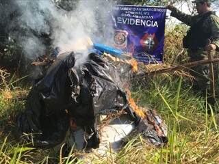 Maior produtor das Am&eacute;ricas, Paraguai celebra destrui&ccedil;&atilde;o de 18 t de maconha