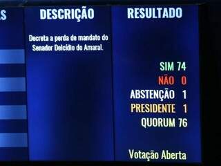 Votação cassou o mandato de Delcídio após 13 anos e meio na Casa (Foto: Fabio Pozzebom/Agência Brasil)